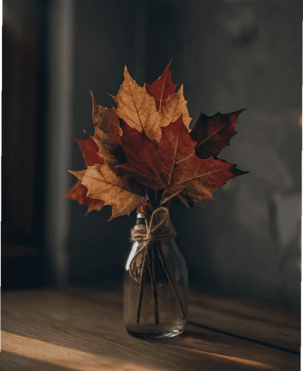 gallery-carousel-pic-6.png